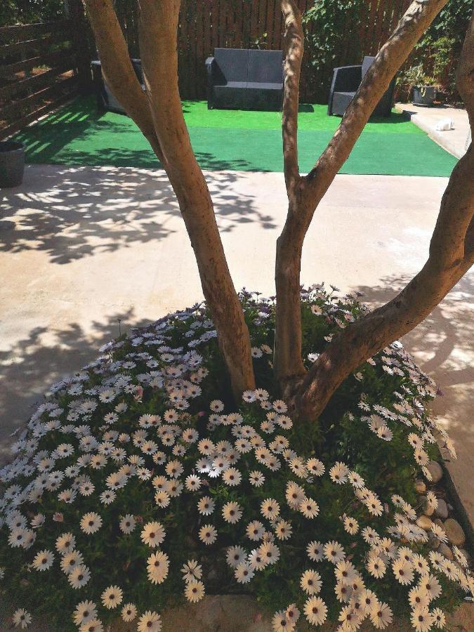 Mondello Sicily House Otel Dış mekan fotoğraf